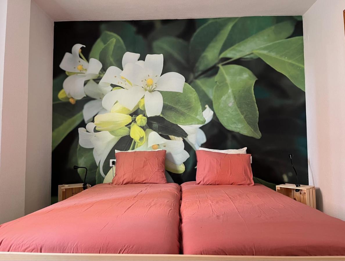 Apartamento La Biznaga มาลากา ภายนอก รูปภาพ